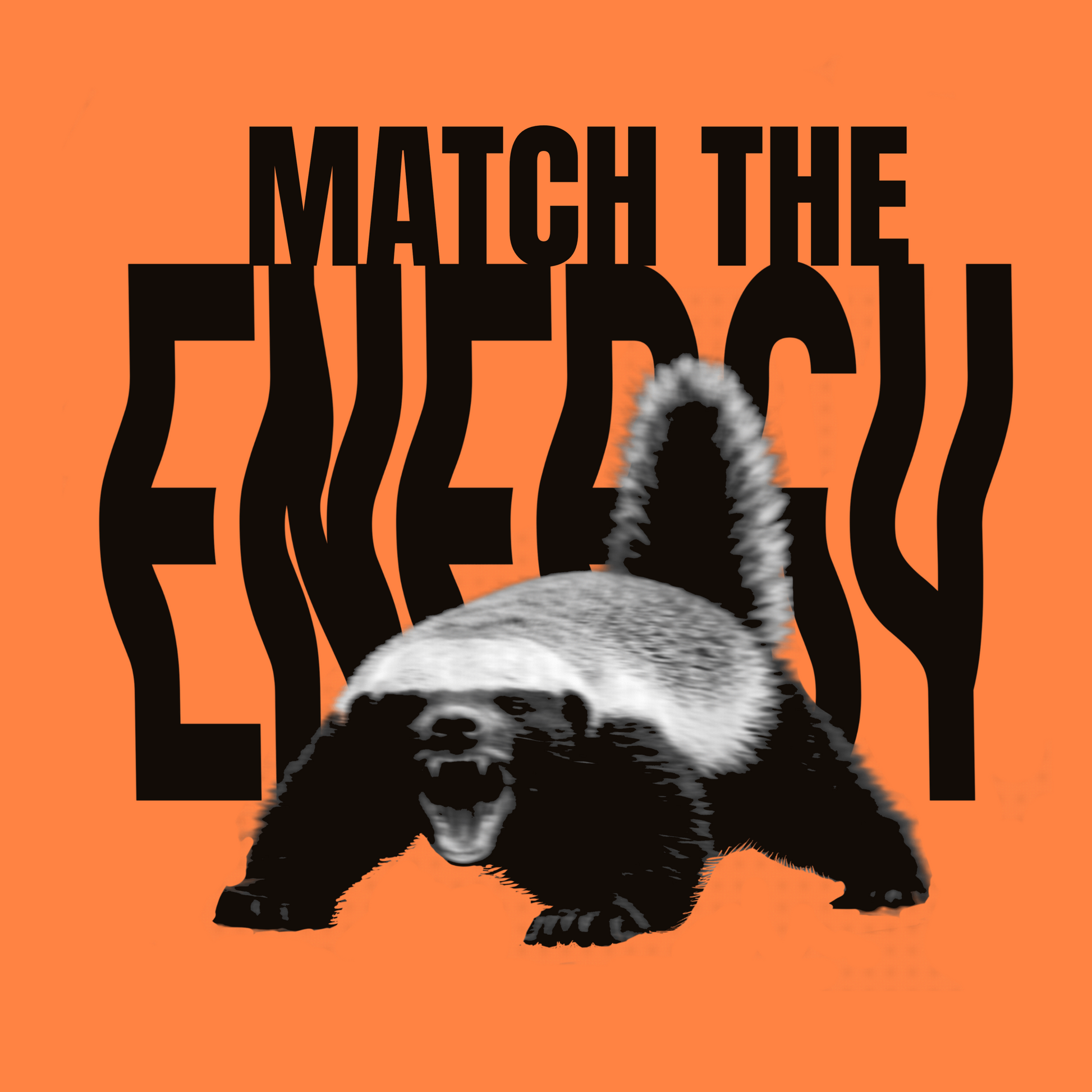 Illustration of a honey badger with distorted Match the Energy text on an orange background